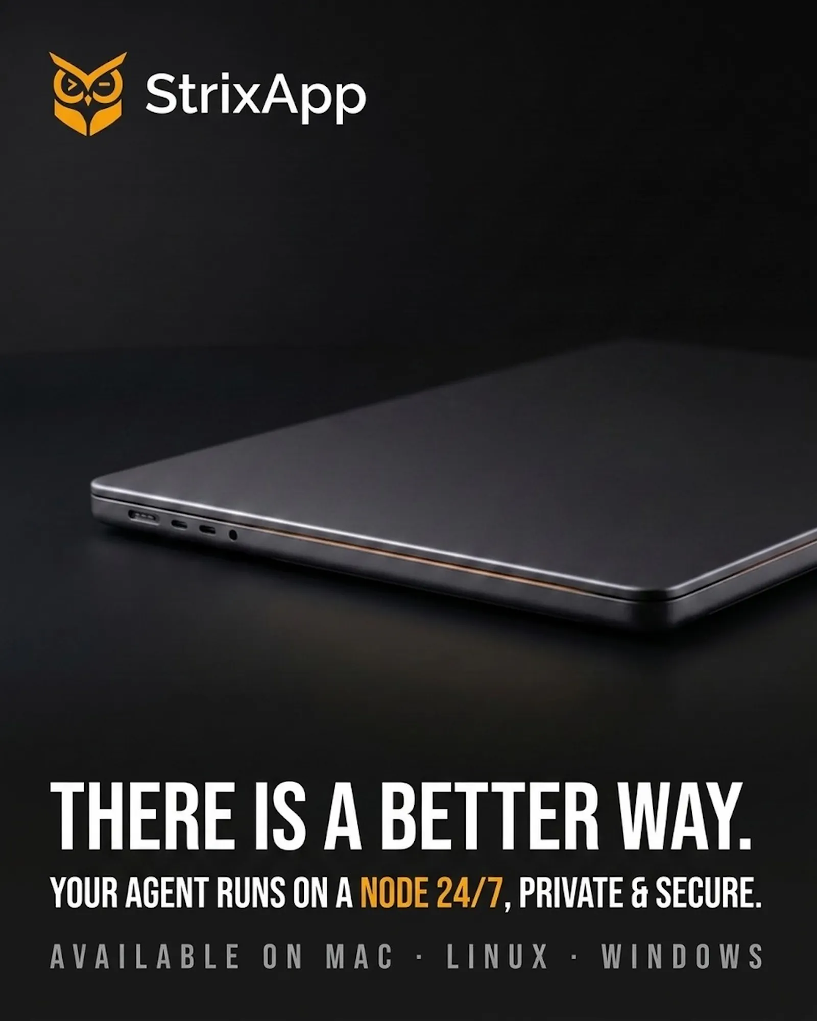 StrixApp screenshot 2