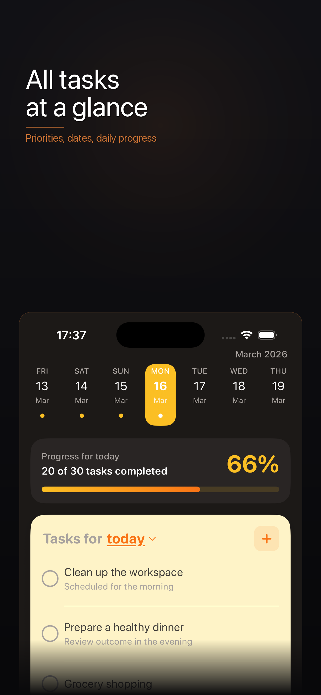 Focusy gallery image