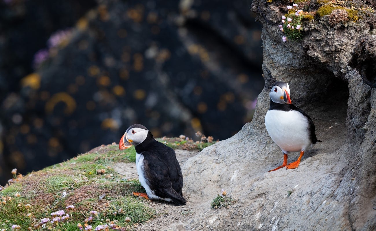 Make OS X Great Again gallery image