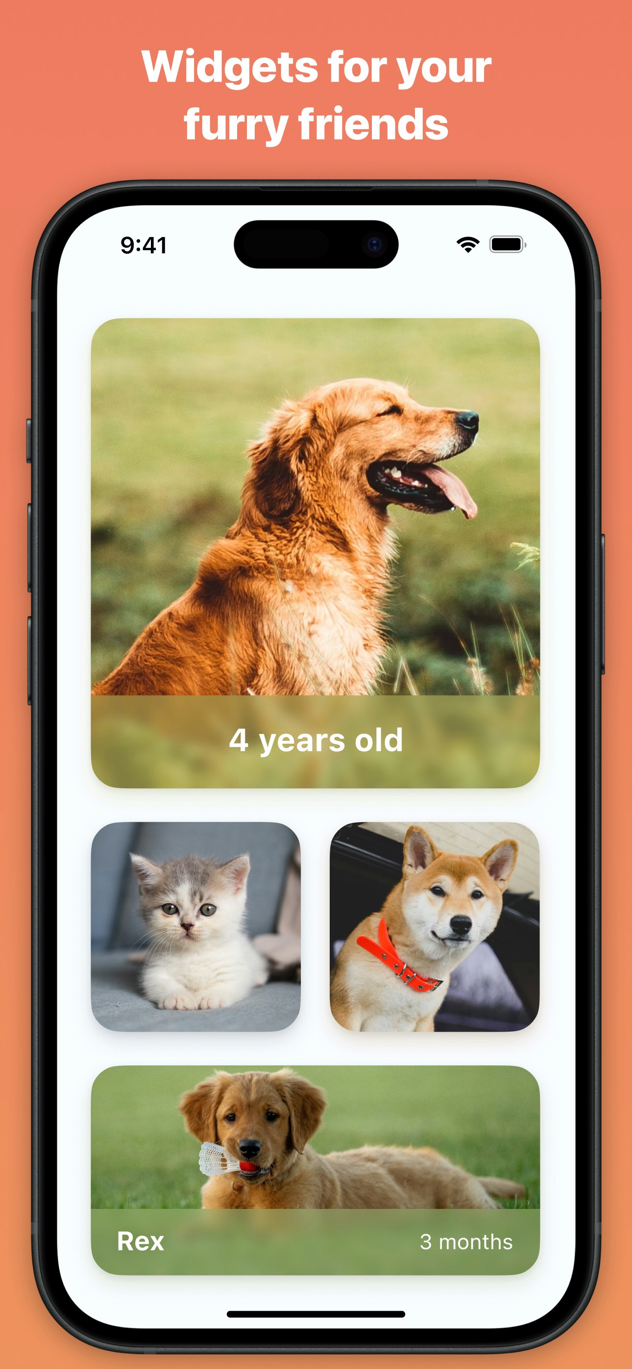 Kidgets media 6