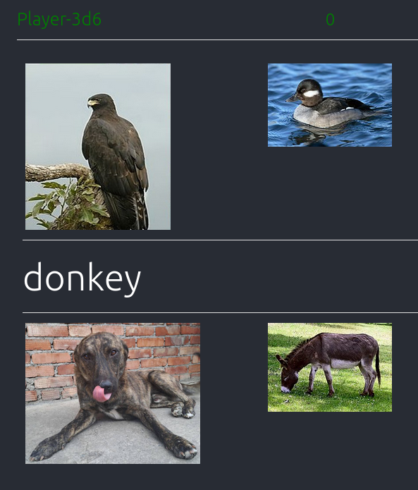 Media sorat.io 2
