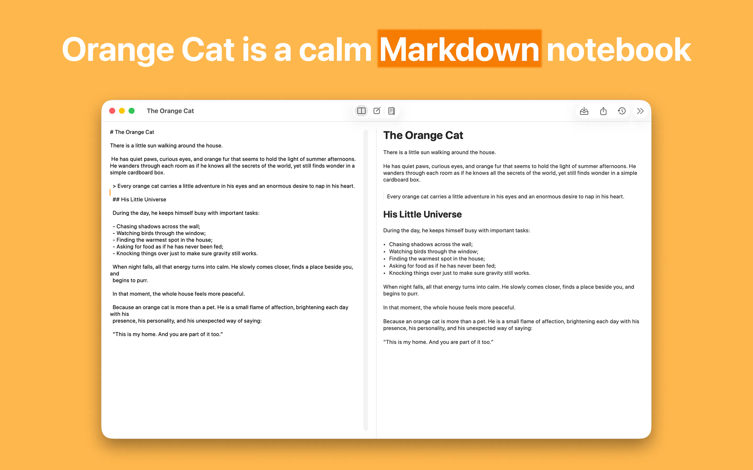 Orange Cat gallery image