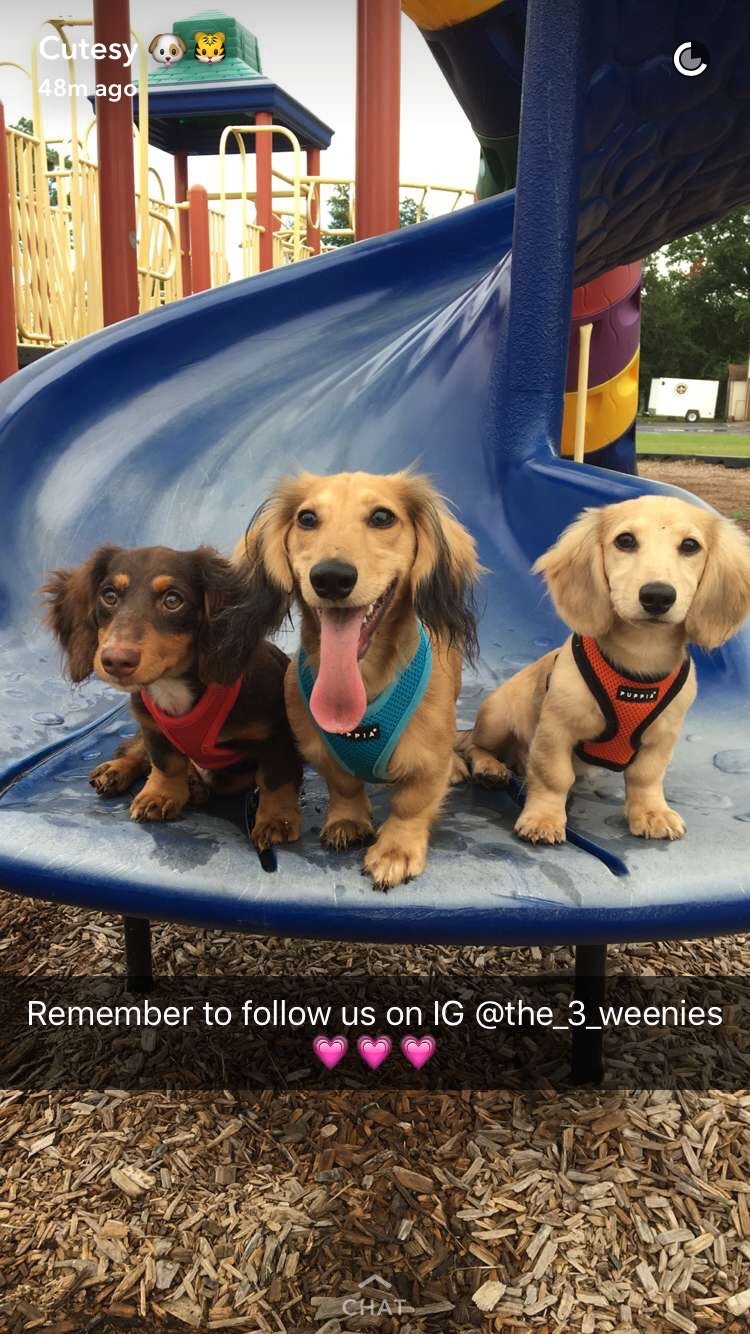 CutesyTV gallery image