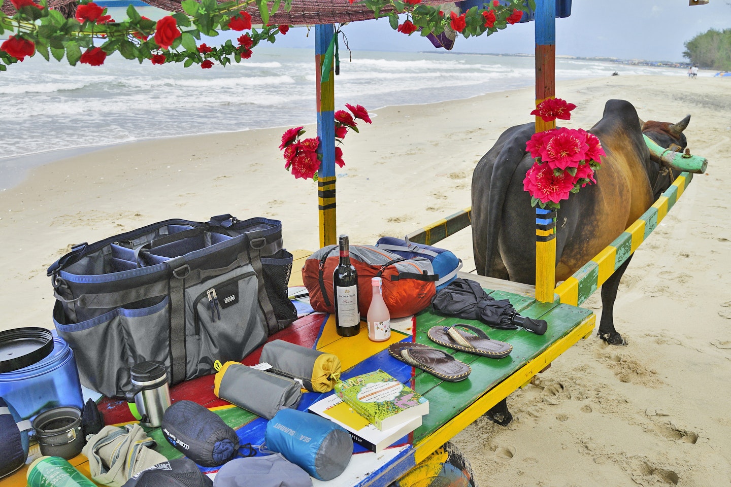 Freeway Longhaul gallery image