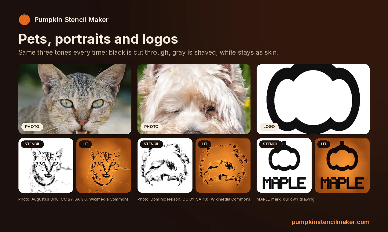 Pumpkin Stencil Maker gallery image