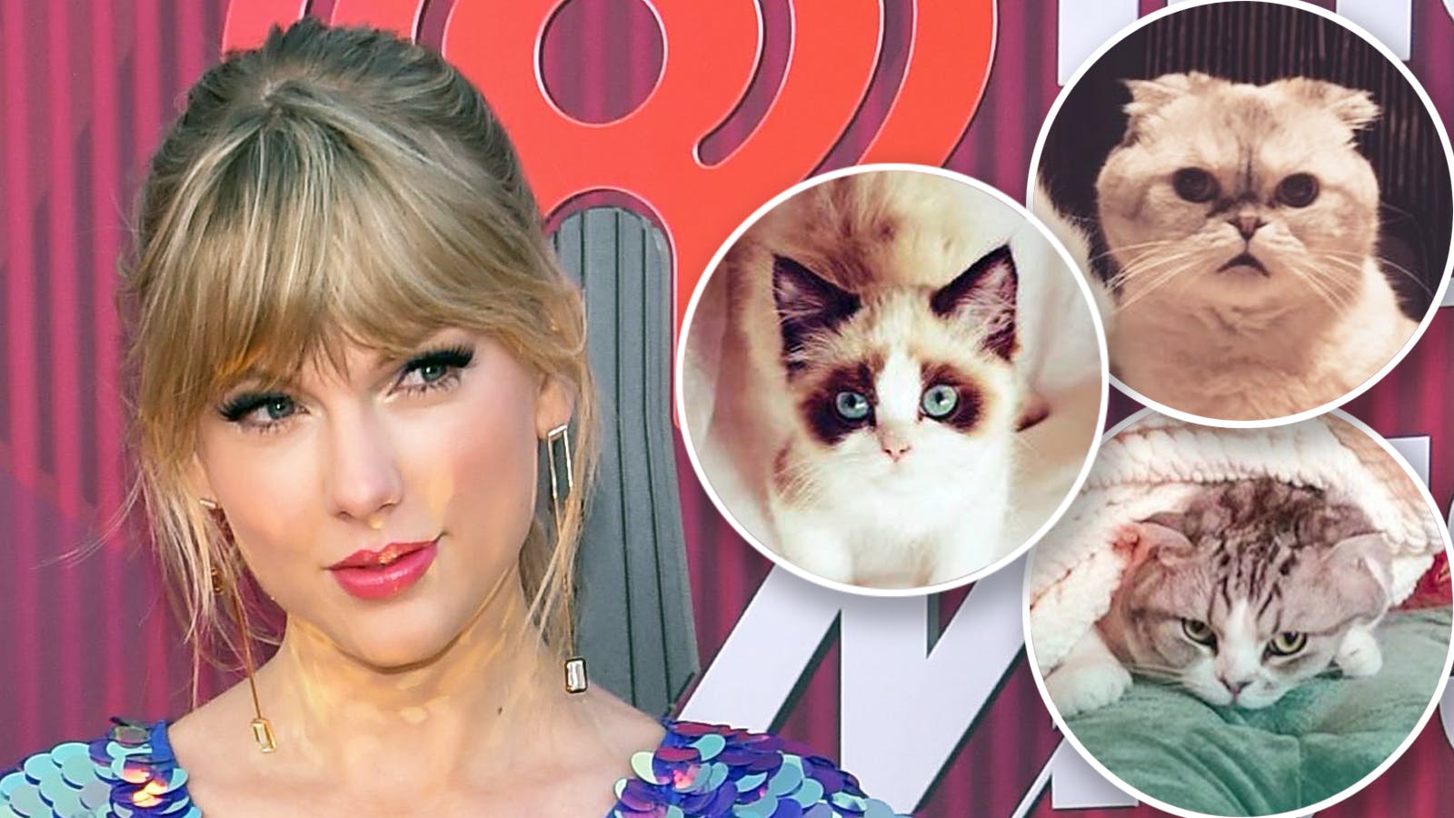 Your Pet Persona with Taylor Swifts song media 1