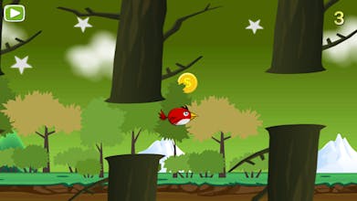 Silly Bird gallery image