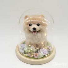 Custom Needle Wool Felt Pet Portrait gallery image