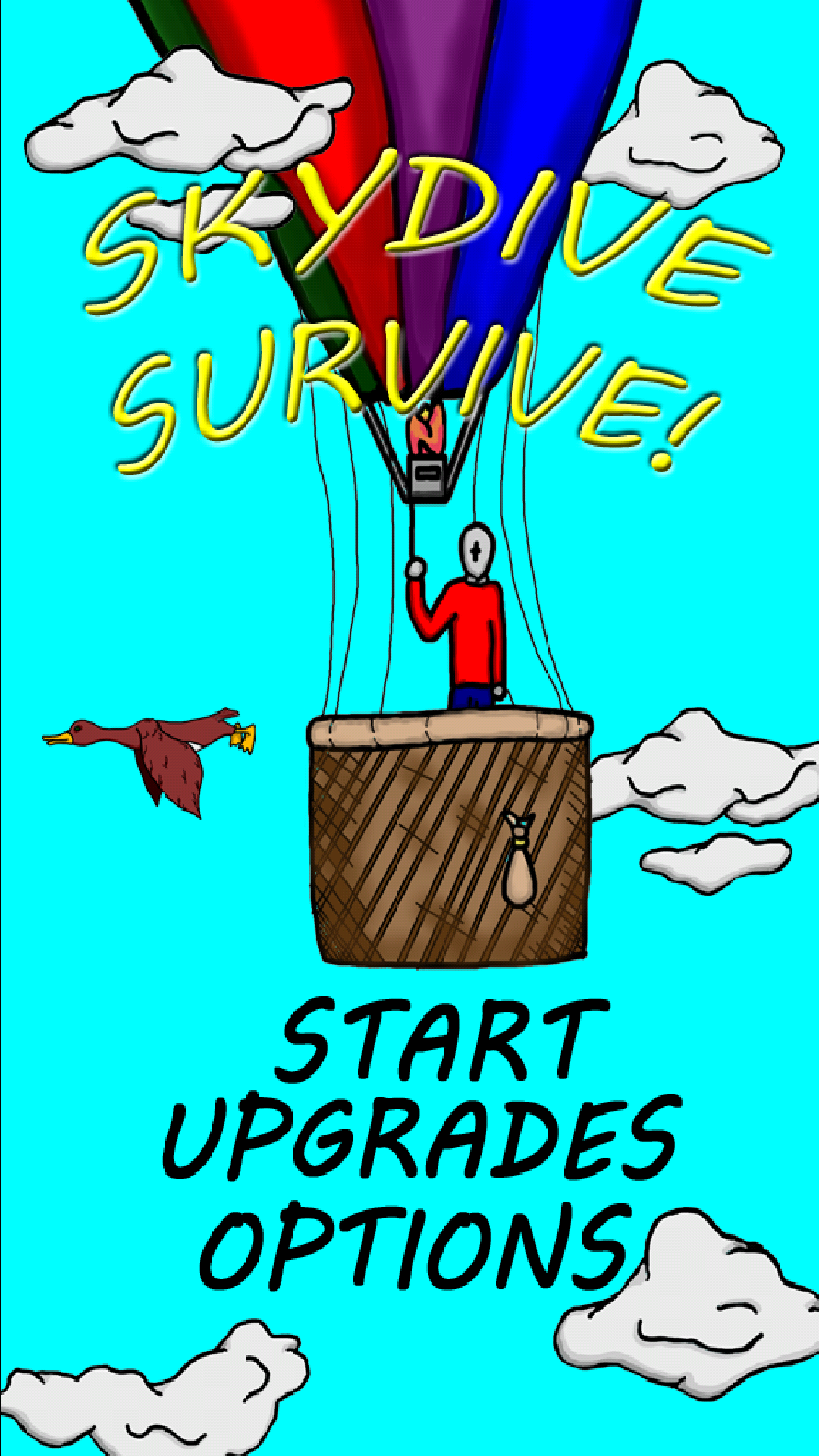 Skydive Survive gallery image