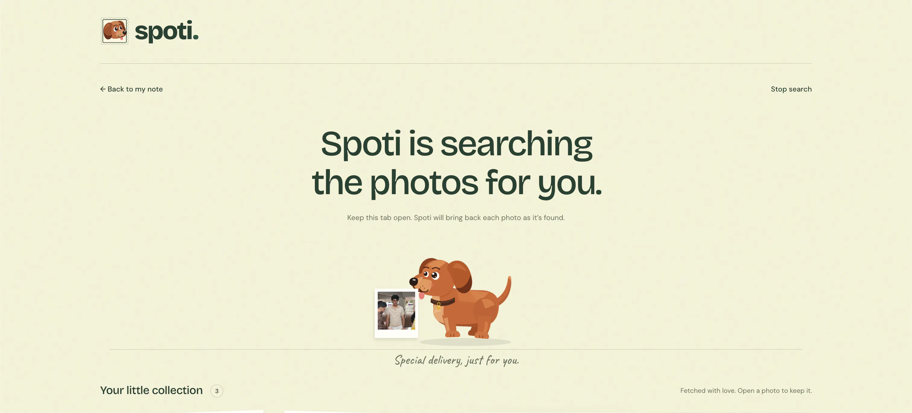 Spoti gallery image