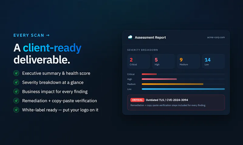 VulnScanners screenshot 2
