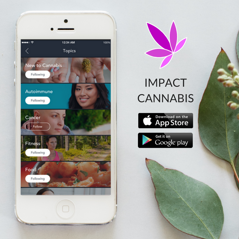 IMPACT Network gallery image