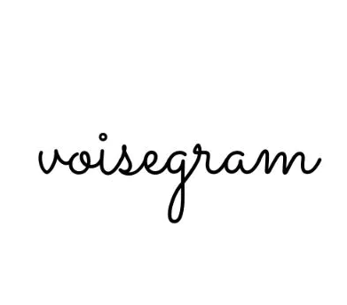 voisegram