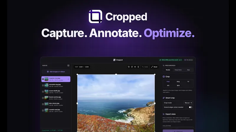 Cropped screenshot 1 (video preview)