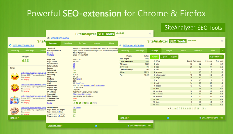 Siteanalyzer SEO Strumenti Chrome Extension media 1