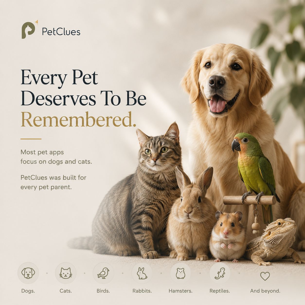 PetClues gallery image