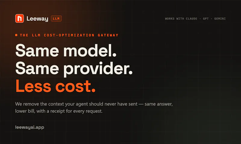 LeewayLLM screenshot 1