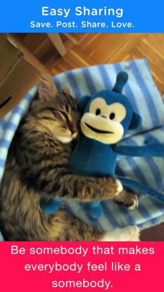 Cats & Quotes gallery image