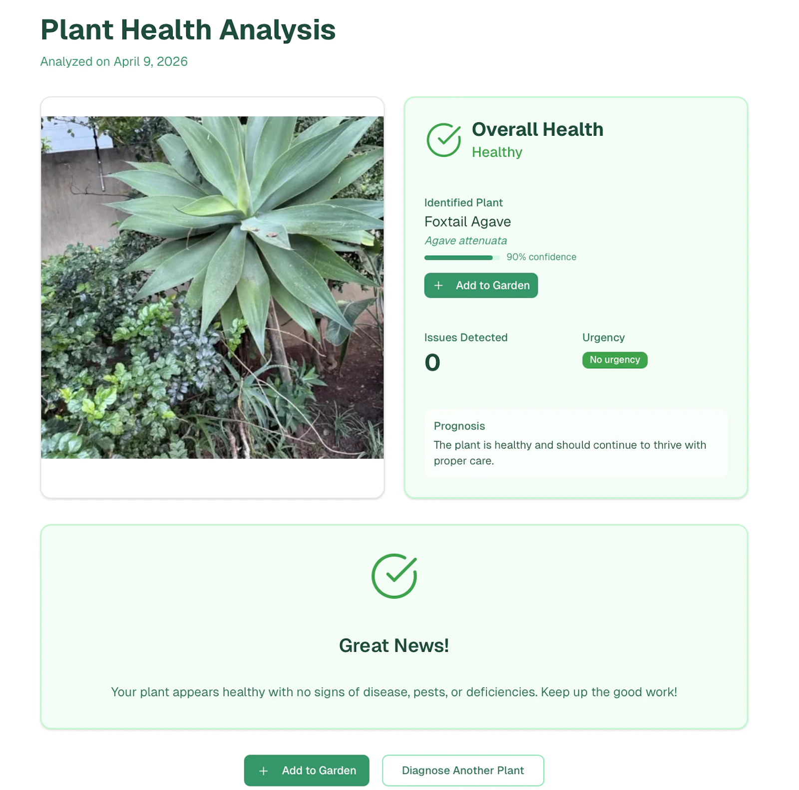 Fernly screenshot 7