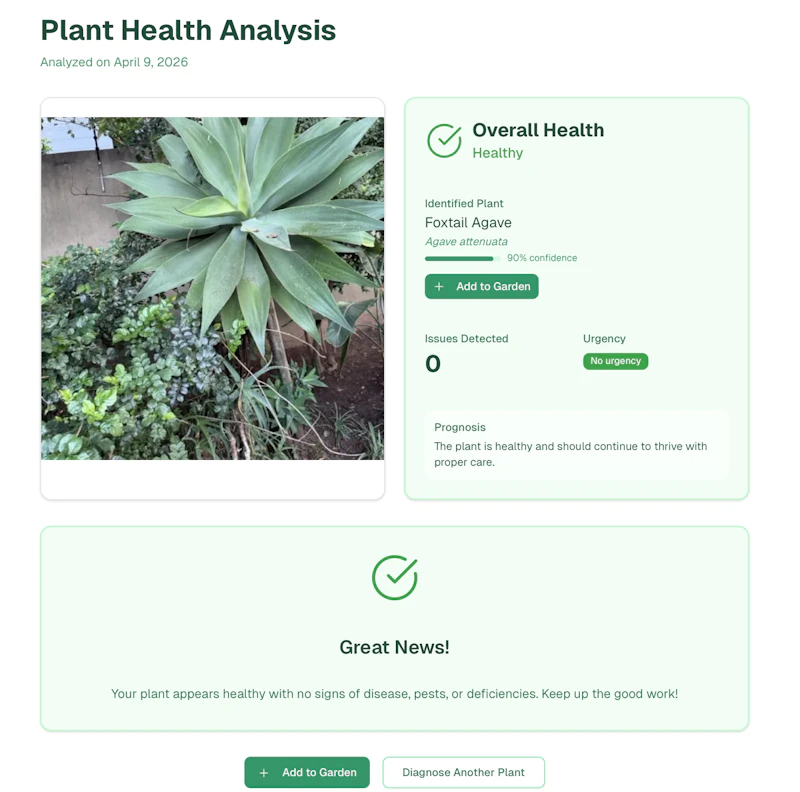 Fernly screenshot 7