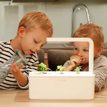 Click & Grow Smart Gardens gallery image