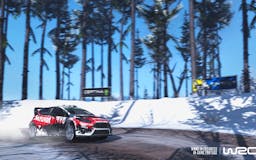 WRC 5  media 3