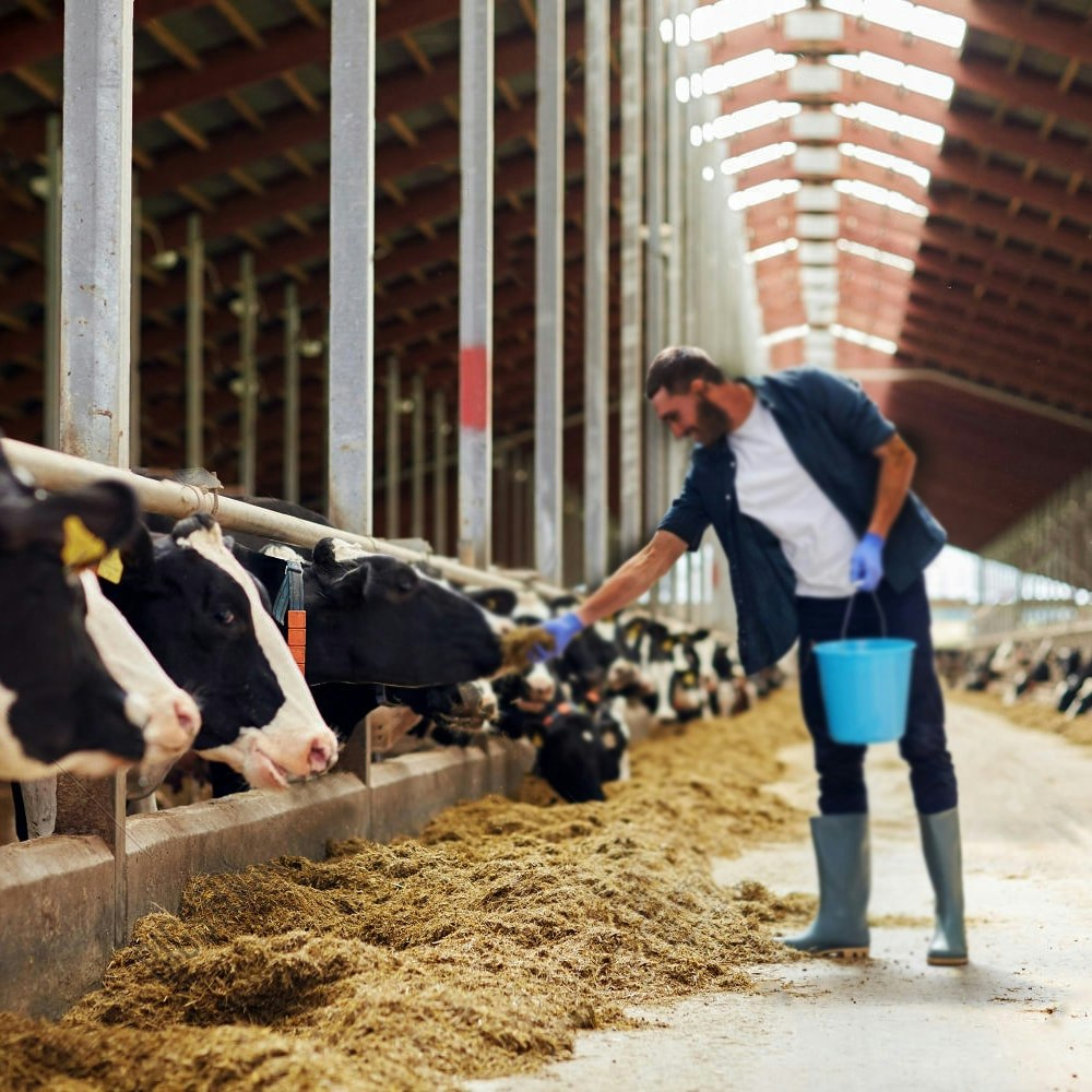 News n Updates gallery image