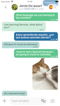 Flipchat gallery image