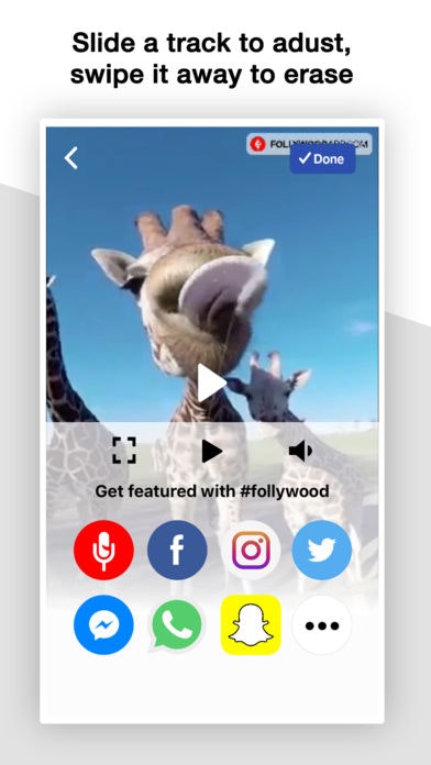 Follywood gallery image