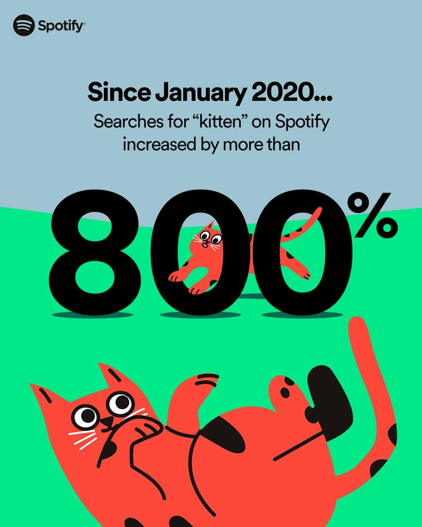 Pet Playlists by Spotify gallery image