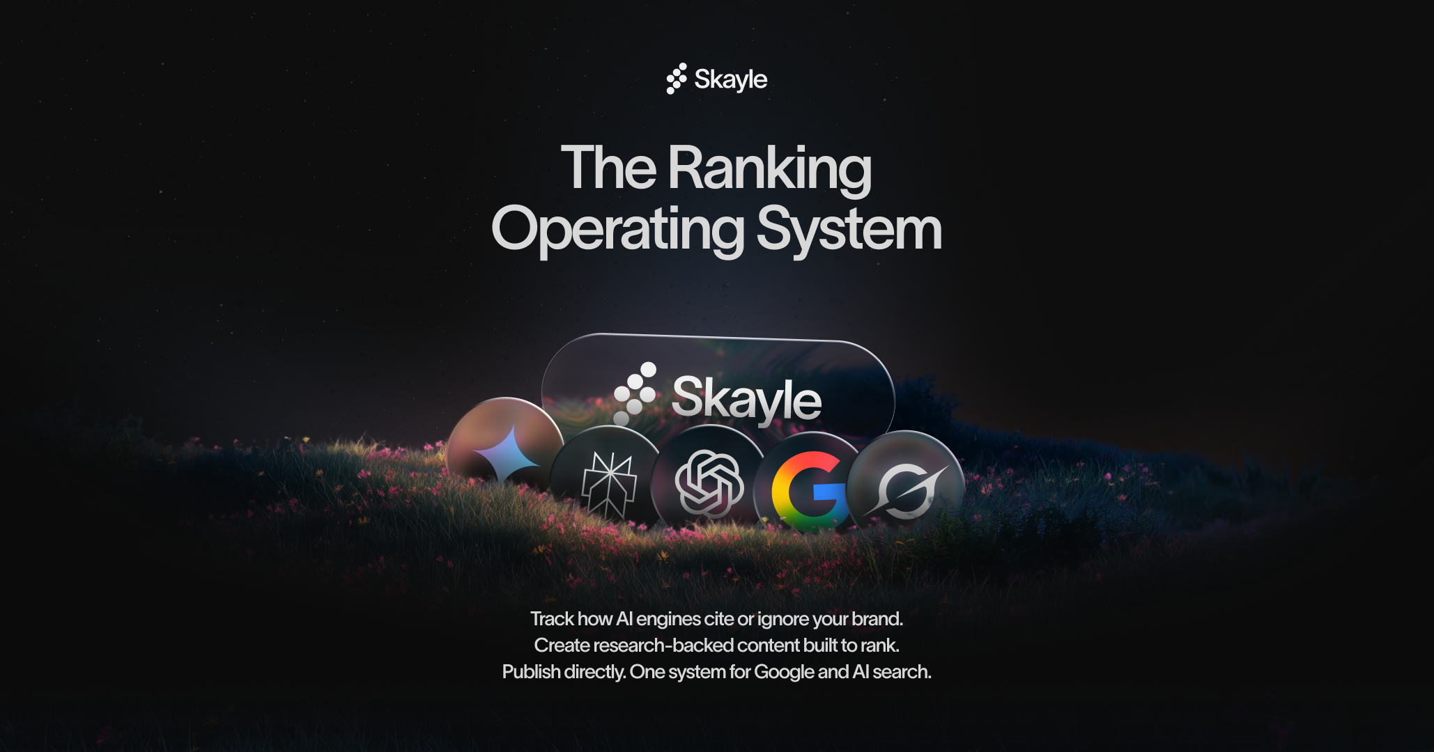 Skayle - Main product screenshot demonstrating key features and user interface