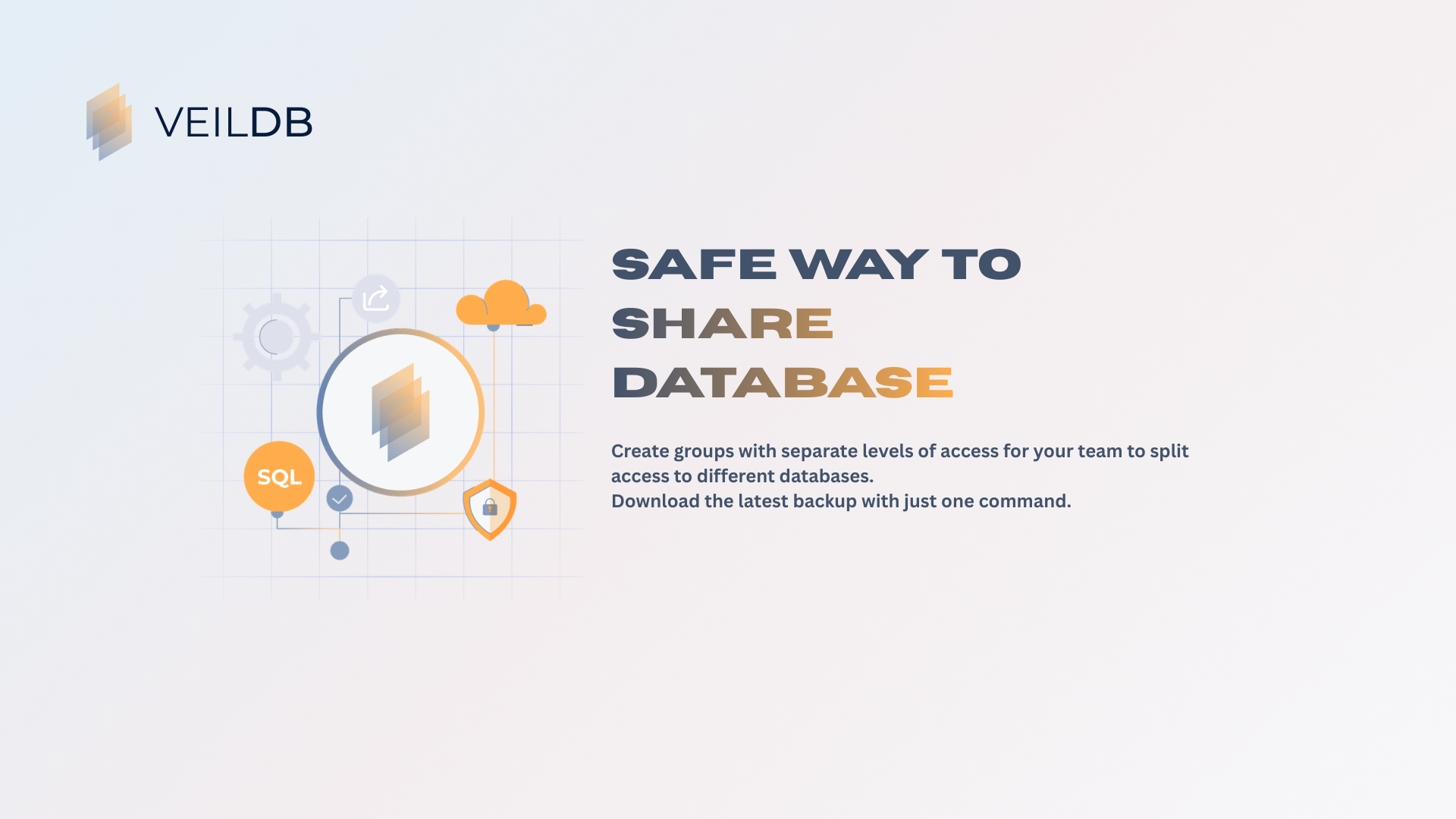VeilDB - Screenshot 3 showing product features and functionality