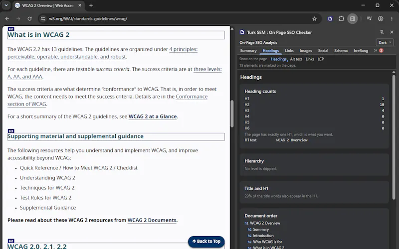 Turk SEM : On Page SEO Checker screenshot 5