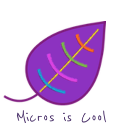 Micros school