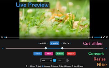 Video to MP4, MP3, GIF, JPEG gallery image