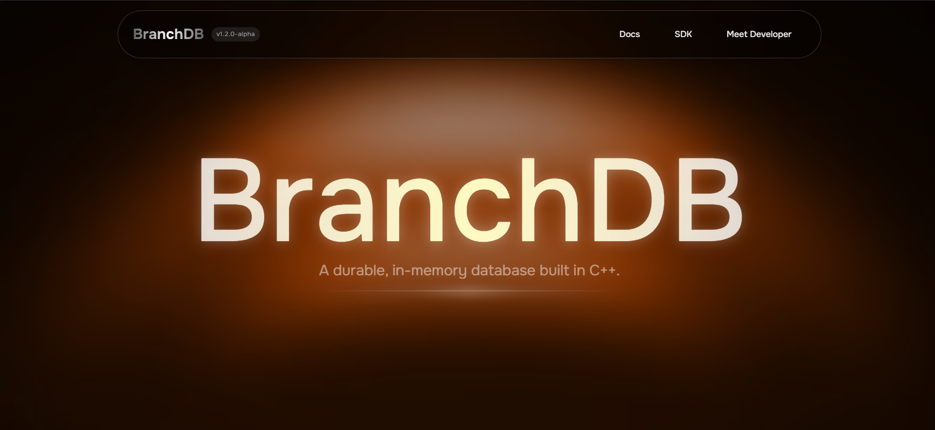 BranchDB gallery image