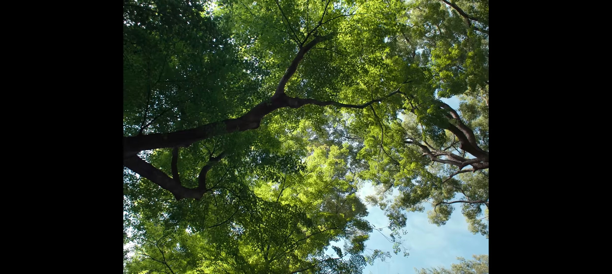 The Hirayama Table gallery image