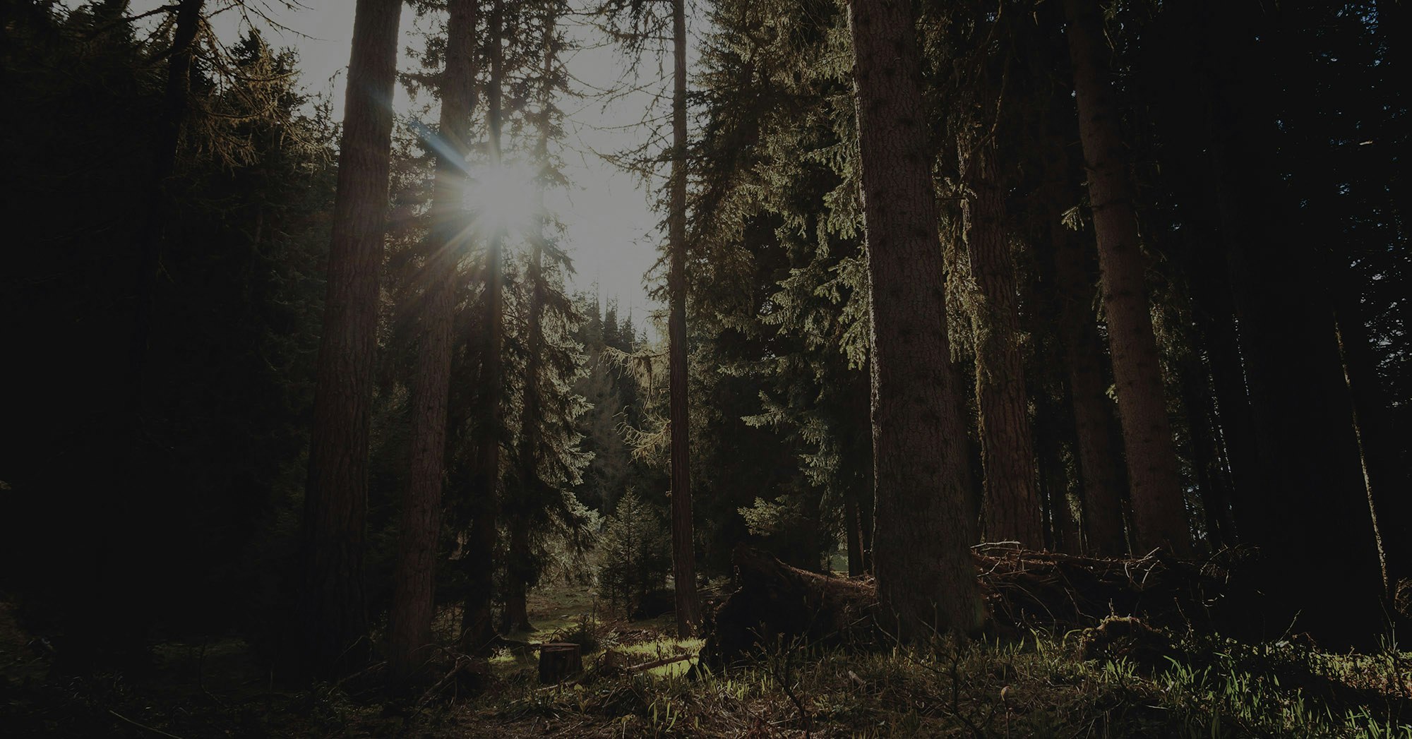 The Mindfulness App gallery image