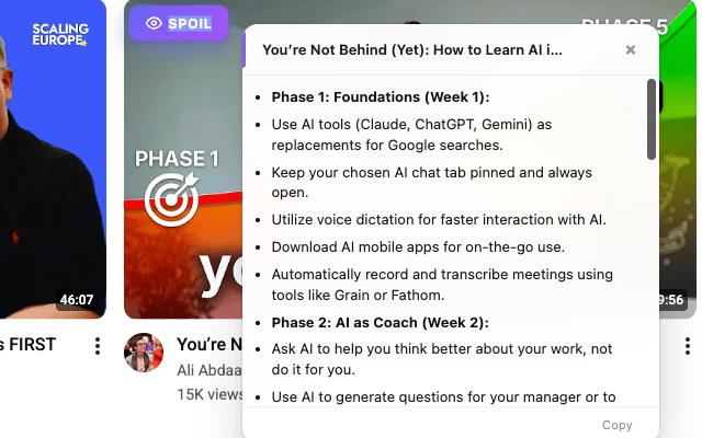 Youtube Spoiler media 4