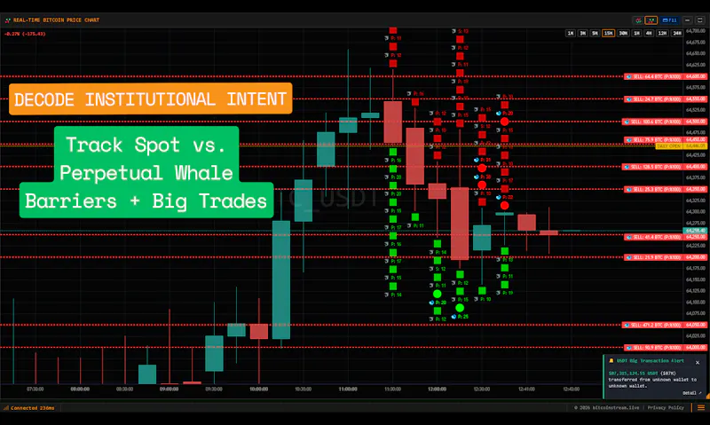 Real-Time Bitcoin OmniStream screenshot 3