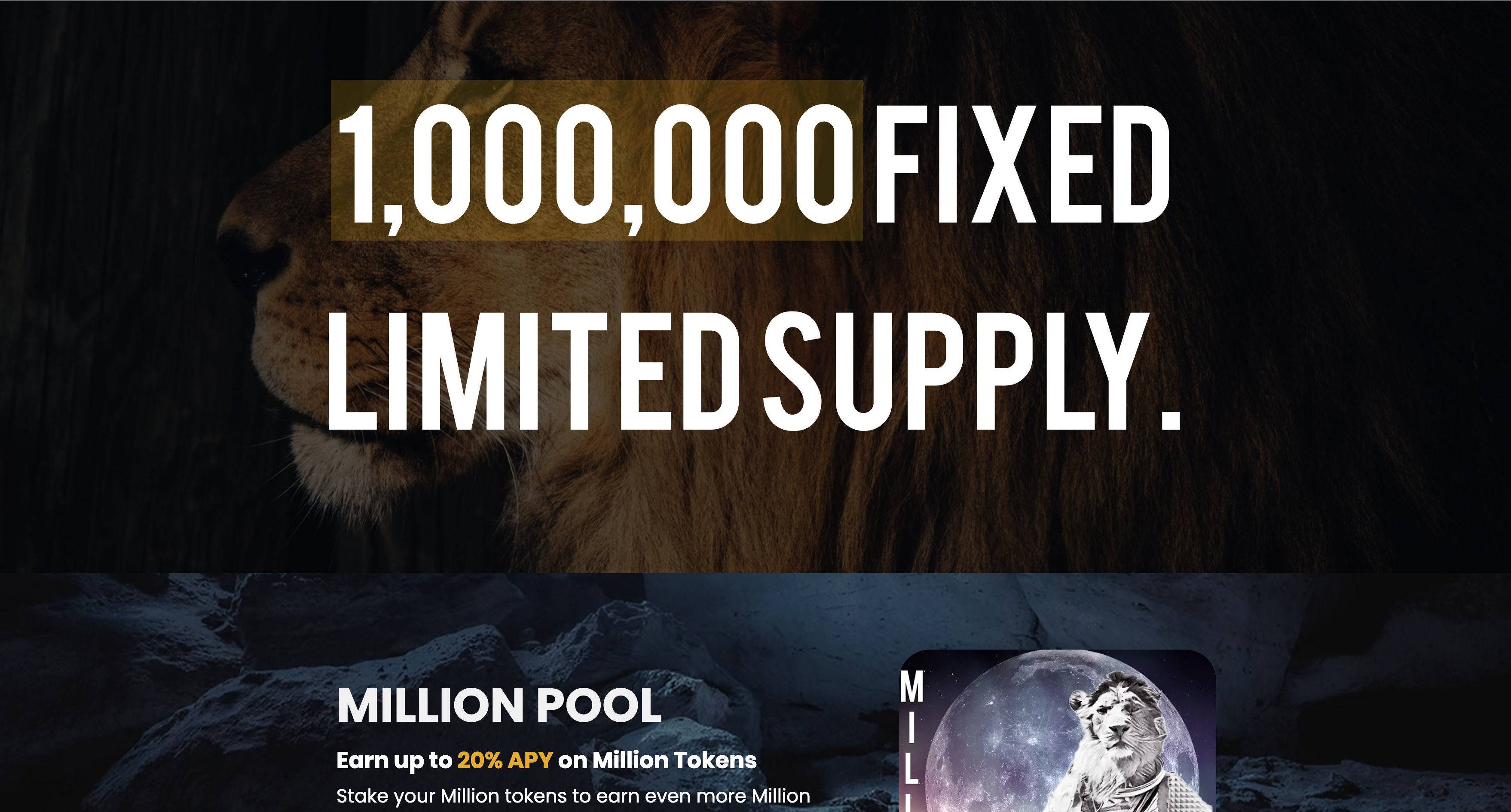 Million Token gallery image