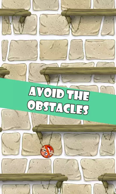 Focus on the ball gallery image