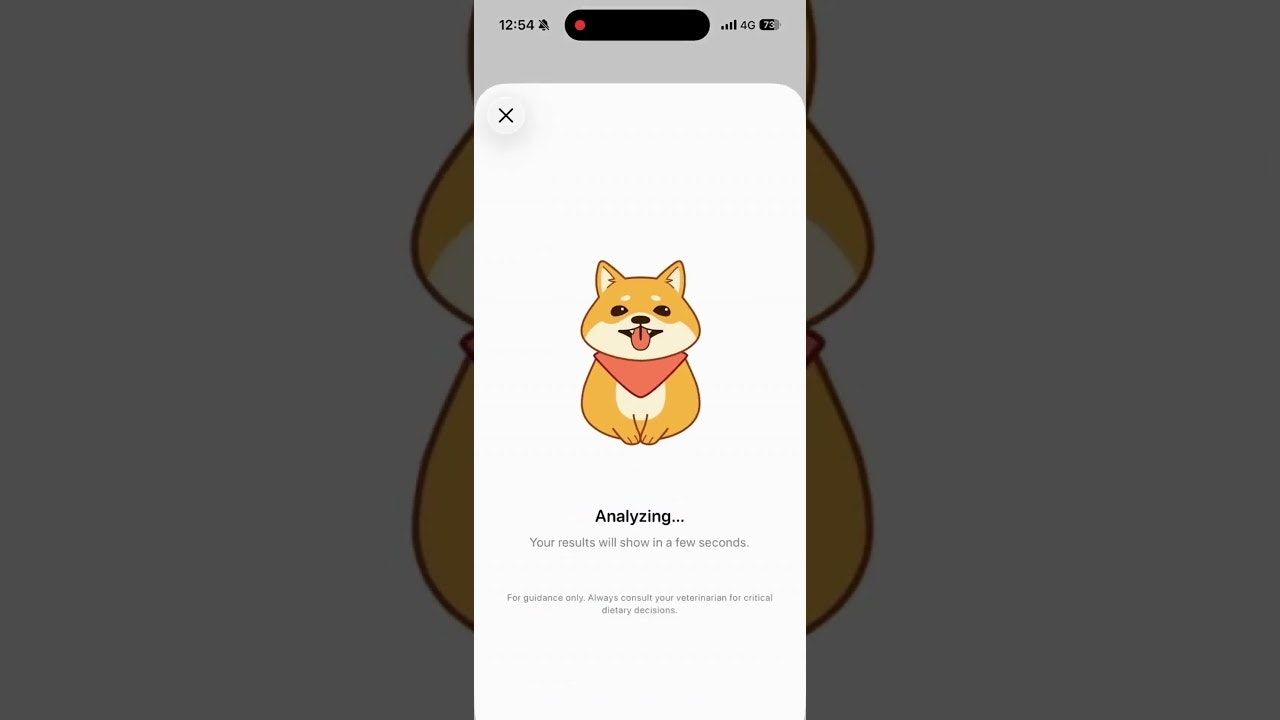 PetWise gallery image