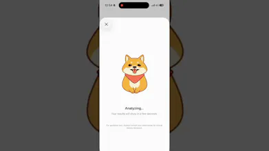 PetWise gallery image