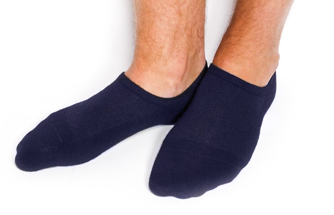SilverSocks Image