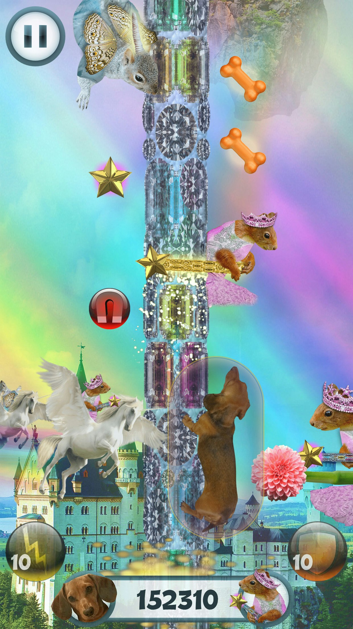 Wild Wiener! gallery image