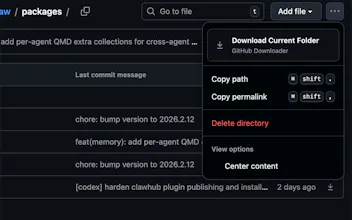 GitHub Directory Downloader Extension gallery image