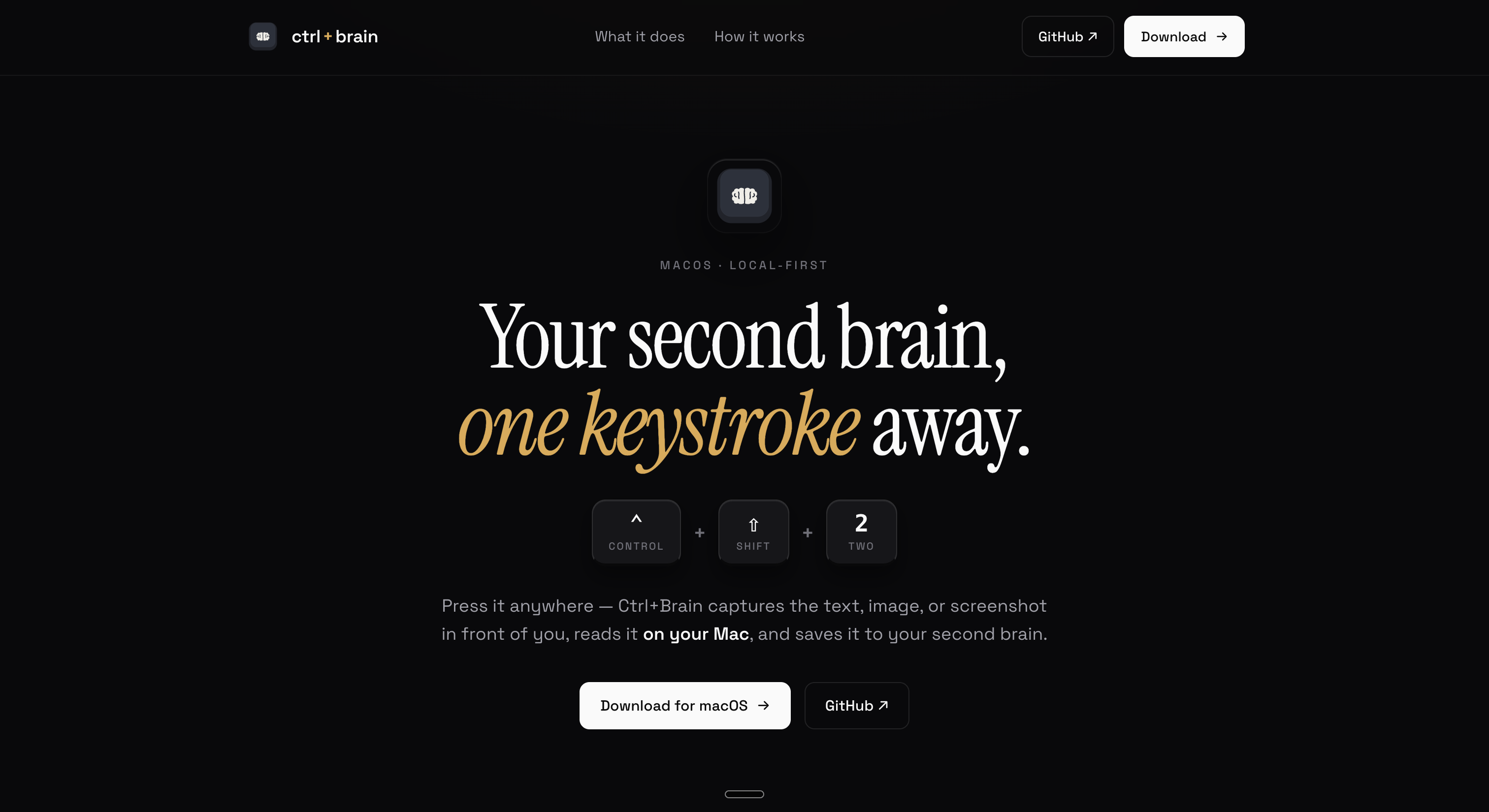 Ctrl+Brain  gallery image