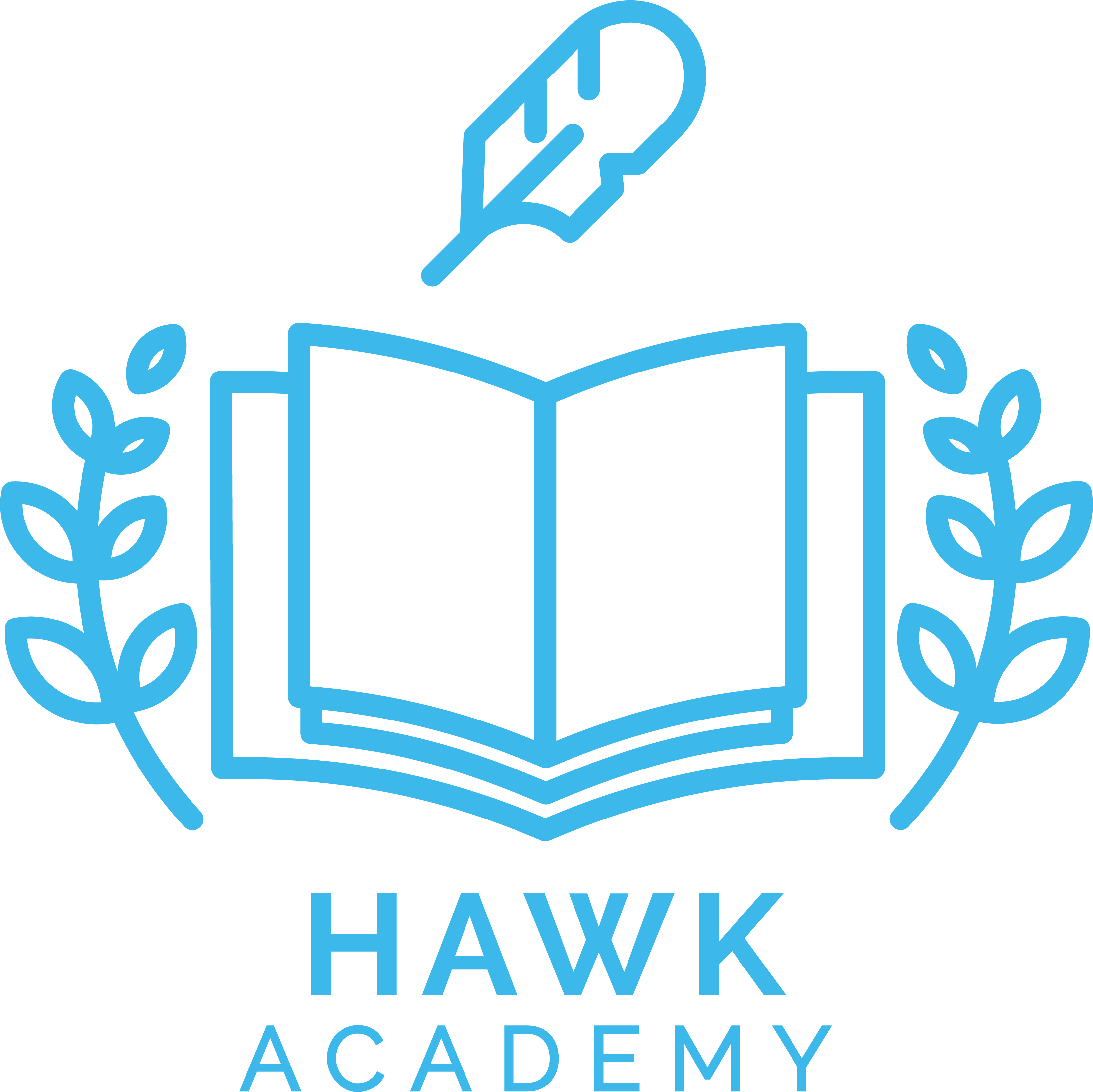 Hawk Academy
