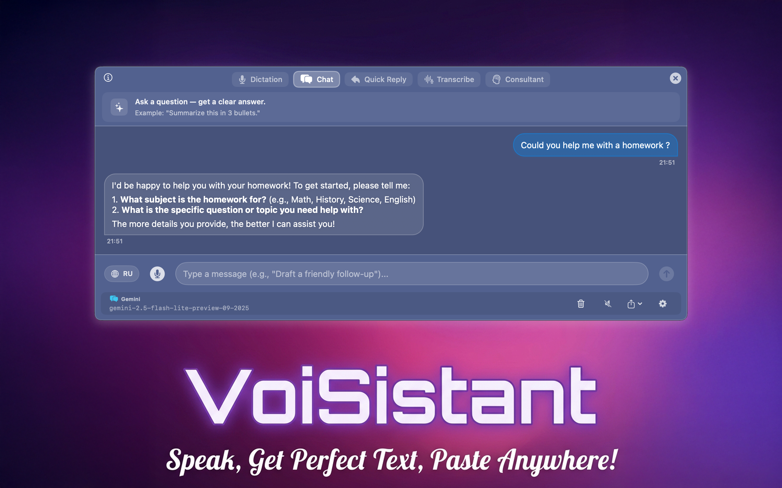 VoiSistant 2.0 gallery image